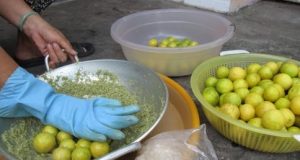 Cách làm chanh muối ngon không bị đắng 18 cach lam chanh muoi