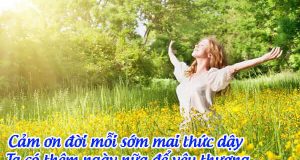 cam on doi moi som mai thuc day