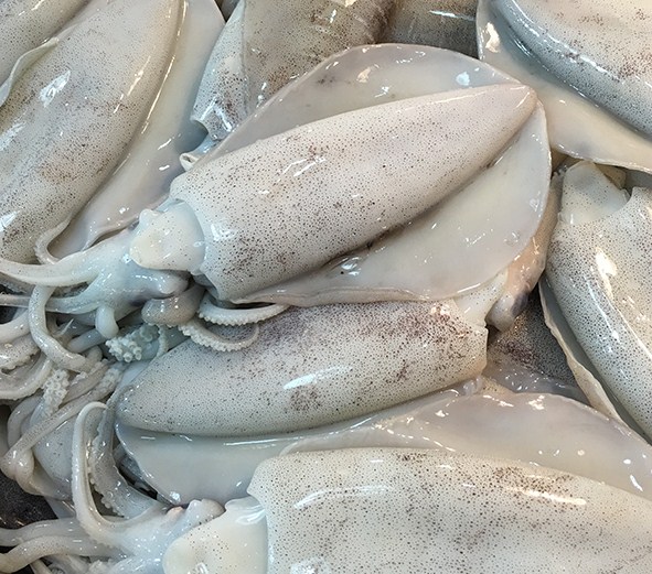 Cách làm chả mực chiên thơm ngon 2 chon muc