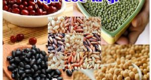 Bột ngũ cốc là gì