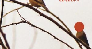 ba-oi-minh-di-dau-webphunu.net