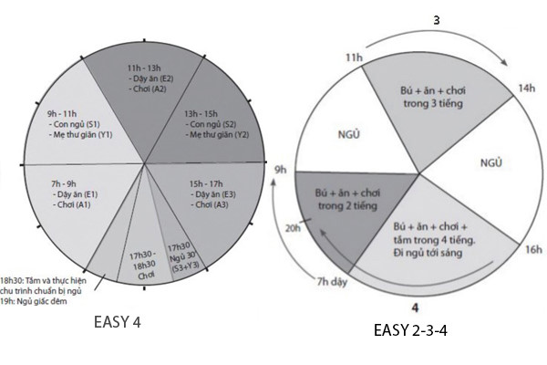 easy4_va_234 Me 9X nuoi con tu lap theo phuong phap EASY hinh anh 3