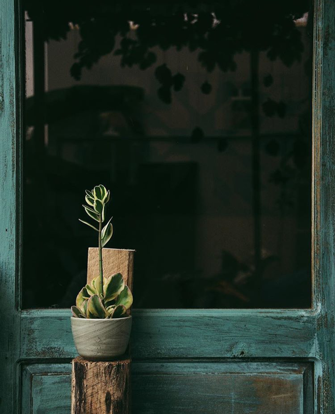 Cấp báo: Đà Lạt lại vừa có thêm một loạt điểm sống ảo mới toanh, đi ngay để săn ảnh đẹp nào! - Ảnh 12. Cấp báo: Đà Lạt lại vừa có thêm một loạt điểm sống ảo mới toanh, đi ngay để săn ảnh đẹp nào! - Ảnh 12.