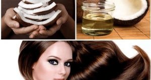 Dưỡng tóc bằng dầu dừa chẳng phải mất tiền triệu ra spa 4 Dầu dừa dưỡng tóc