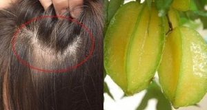 Cách trị tóc bạc sớm bằng khế chua hiệu quả đến bất ngờ 3 Hướng dẫn cách chữa tóc bạc sớm bằng khế chua