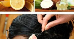 Trị tóc bạc bằng dầu dừa vừa rẻ lại vừa công hiệu tại nhà 1 Công thức dầu dừa và chanh tươi