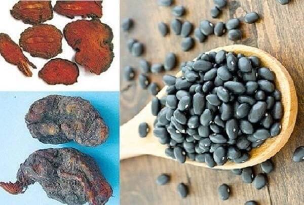 Hà thủ ô chữa tóc bạc kết hợp với đậu đen