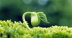 21 mẹo vặt hay trong cuộc sống bạn đừng nên bỏ lỡ! 1 21 meo vat trong cuoc song ban dung nen bo lo 9